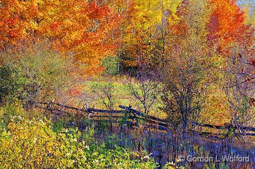 Autumn Scene_16790-1.jpg - Photographed near Smiths Falls, Ontario, Canada.